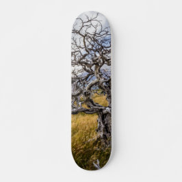 Burnt tree, Torres del Paine, Chile Skateboard