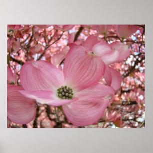 BÜROKUNST Rosa Dogwood-Baum 1 Kunst gerahmte Druck Poster