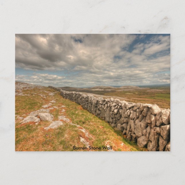 Burren Stone Wall Postkarte (Vorderseite)