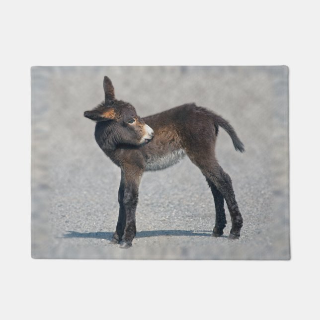 Burro Doormat Fußmatte (Vorderseite)