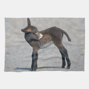 Burro-Geschirrtuch Handtuch