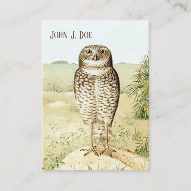 Burrowing Owl 2-seitige Visitenkarte für Vogelbeob (Vorderseite)