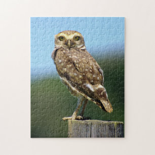 Burrowing Owl Bird of Prey Jigsaw Puzzle