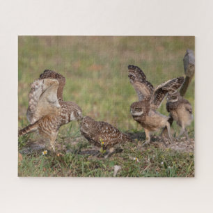Burrowing Owls Jigsaw Puzzle