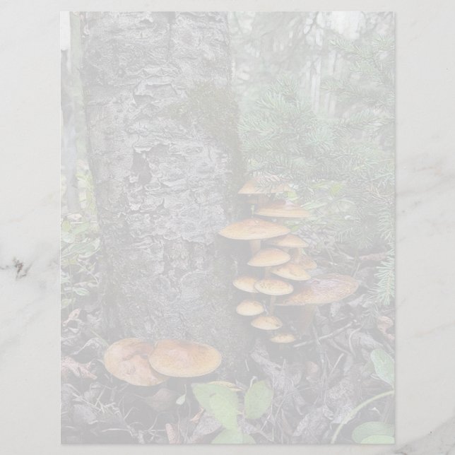 Bürsten - 8,5" x 11" Stationierblech (Vorderseite)