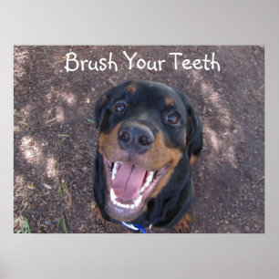 Bürsten Sie Ihr Zähne Rottweiler Welpen-Plakat Poster