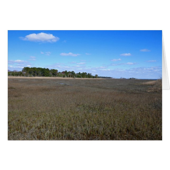 Burton Island Naturschutzgebiet (Vorderseite (Horizontal))
