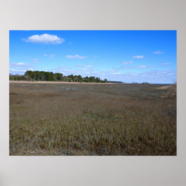 Burton Island Naturschutzgebiet Poster (Vorne)