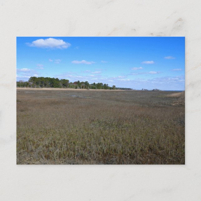 Burton Island Naturschutzgebiet Postkarte (Vorderseite)