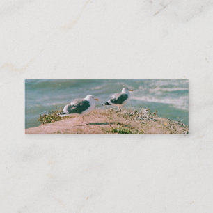 Bus. Karte - Möwen auf Klippe