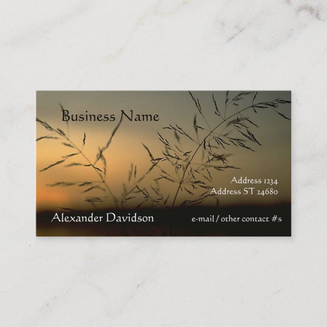 Bus. Karte - Silhouette Gras (Vorderseite)