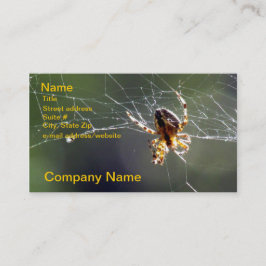 Bus. Karte - Spinne auf Netz