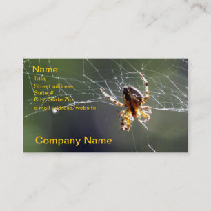 Bus. Karte - Spinne auf Netz