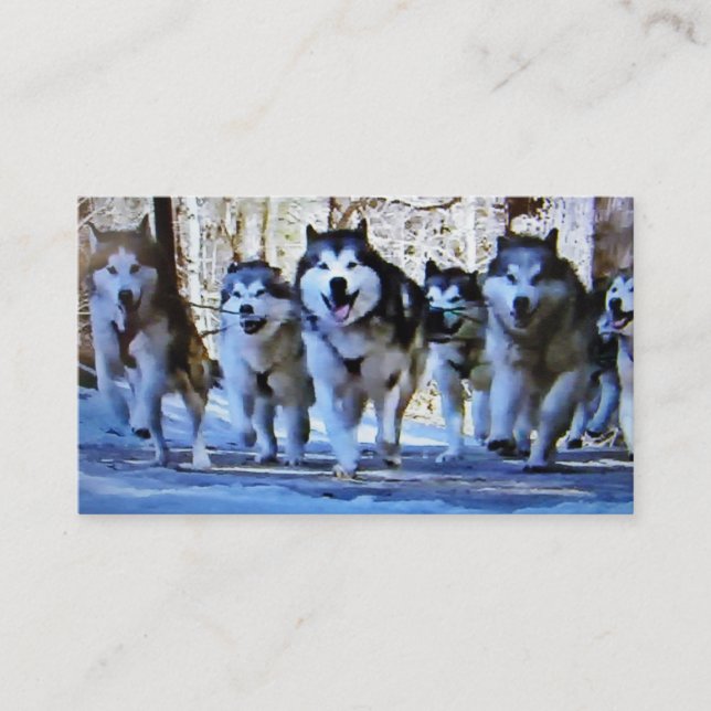 BUS SIBERIAN HUSKY / CARTE PERSONNELLE (Devant)