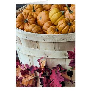 Buschel von Gourds
