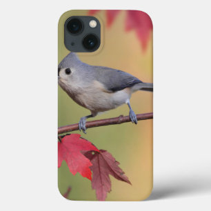 Büschelige Titmice Case-Mate iPhone Hülle