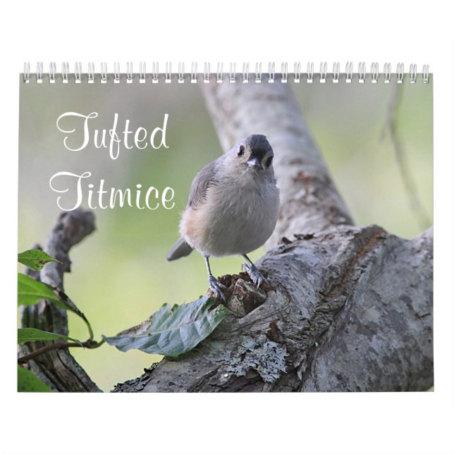 Büschelige Titmice Kalender (Titelbild)