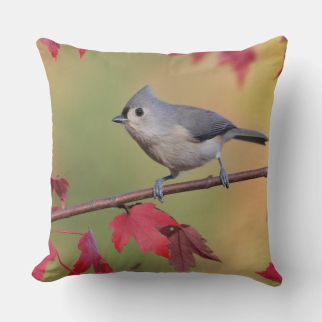 Büschelige Titmice Kissen (Vorderseite)