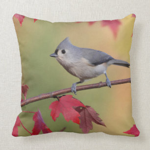 Büschelige Titmice Kissen