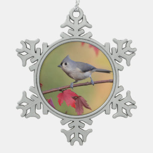 Büschelige Titmice Schneeflocken Zinn-Ornament