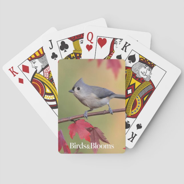 Büschelige Titmice Spielkarten (Rückseite)