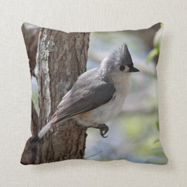 Büscheliger Titmouse im Frühjahr Kissen