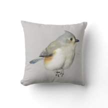 Büscheliger Titmouse