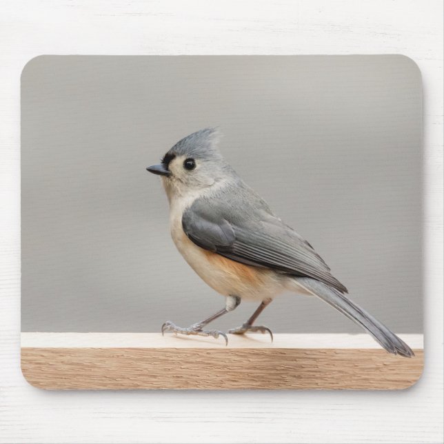 Büscheliger Titmouse Mousepad (Vorne)