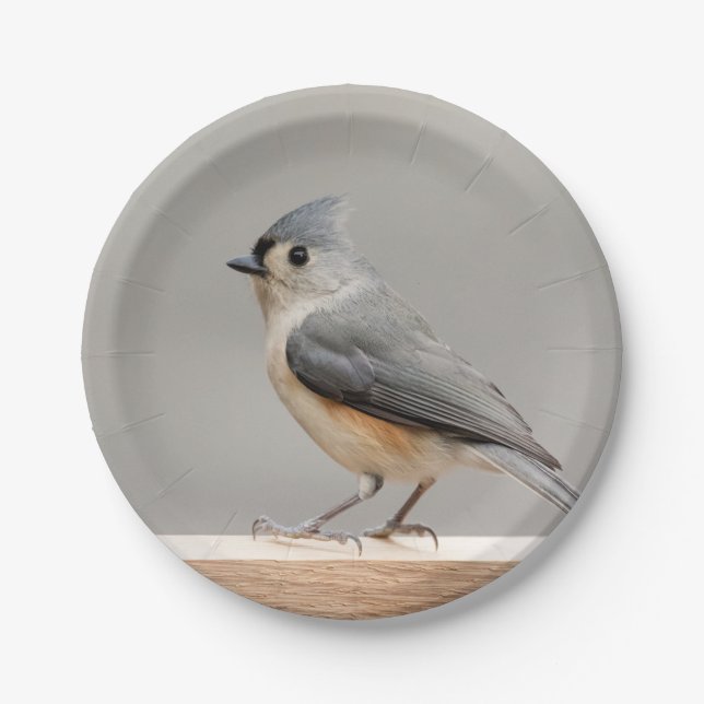 Büscheliger Titmouse Pappteller (Vorderseite)