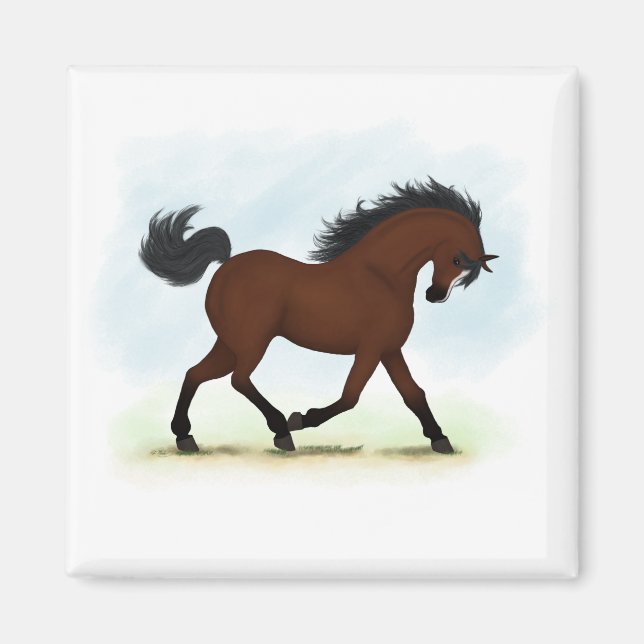 Buschpferd mit Blaze Magnet (Vorne)