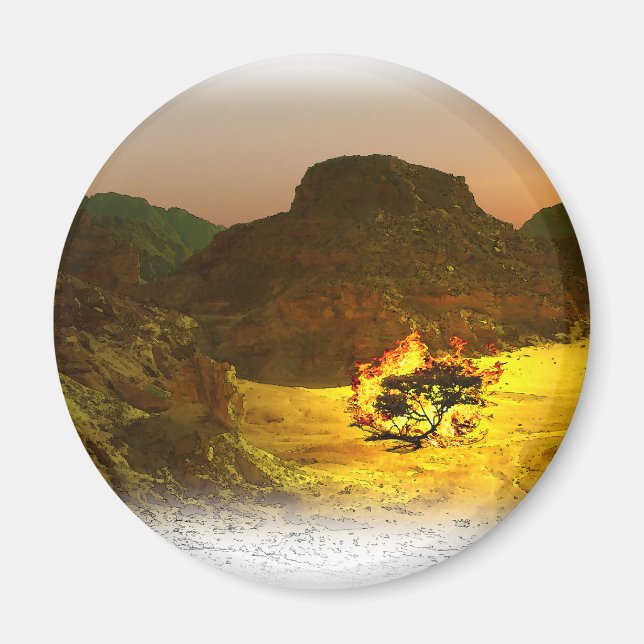 Bush brennen 1 magnet (Vorne)