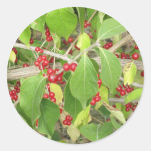 Bush mit roten Beeren Runder Aufkleber