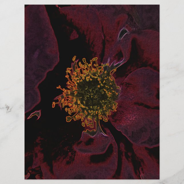 Bush Rose Neon (Vorderseite)