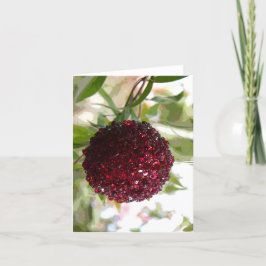 Bush Weihnachten