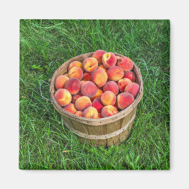 Bushel Basket of Fresh Peaches Magnet