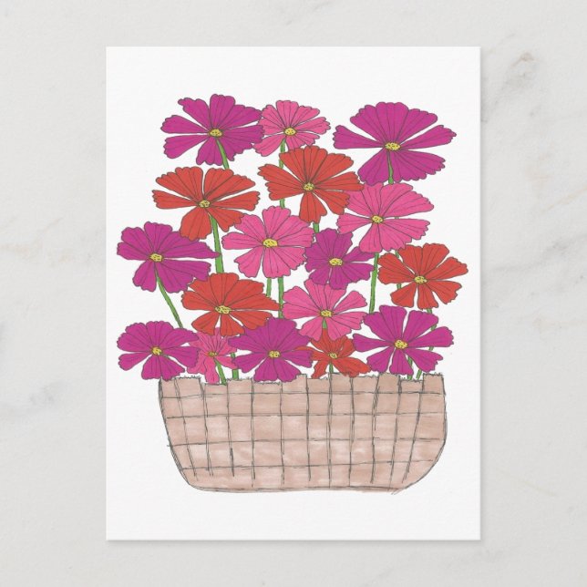 Bushel von hellen Kosmos Postkarte (Vorderseite)