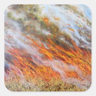Bushfire-Inferno 2014 Quadratischer Aufkleber