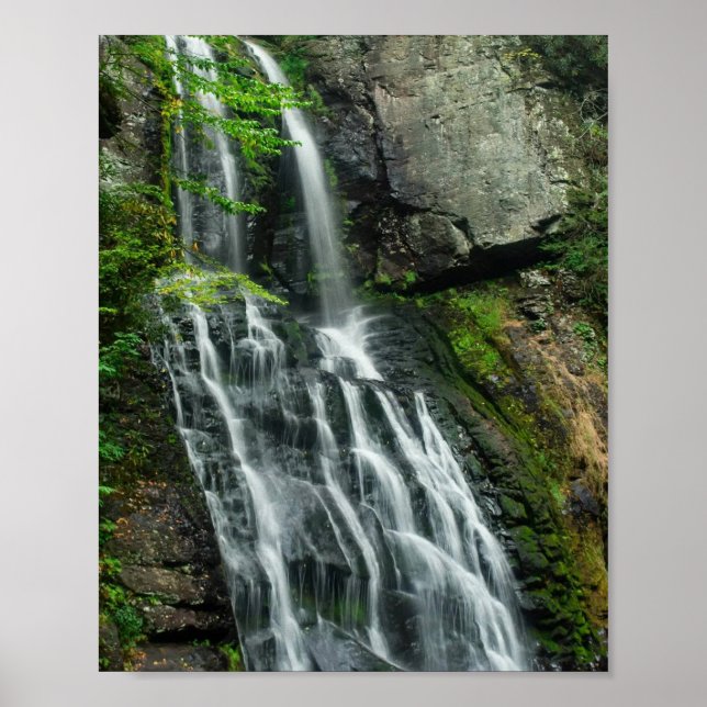 Bushkill Falls Poster (Vorne)