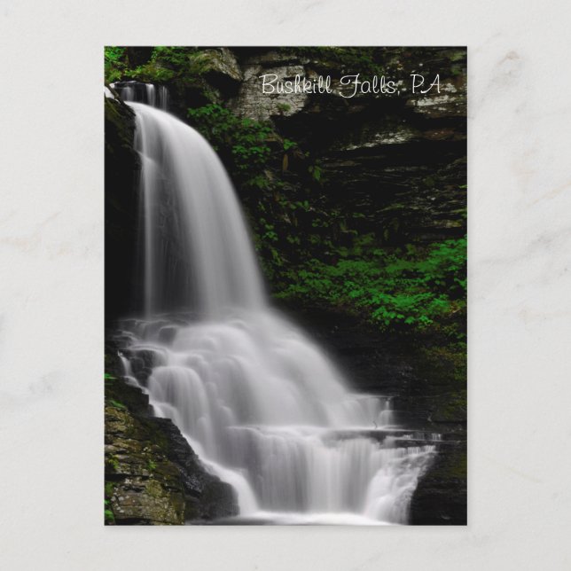 Bushkill Falls Postkarte (Vorderseite)