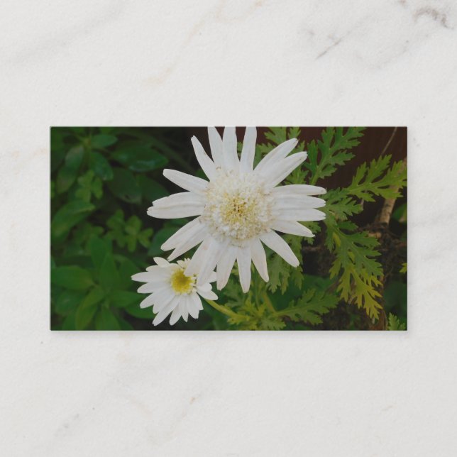 BUSINESS CARD ART&DESIGN STYLE VISITENKARTE (Vorderseite)