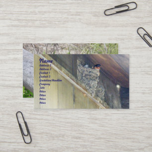 Business Card der Stallschluckserie Visitenkarte