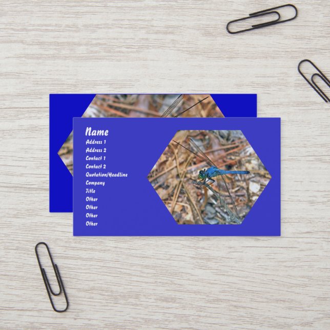 Business Card für Blue Dasher Dragonfly Items Visitenkarte (Vorderseite/Rückseite Beispiel)