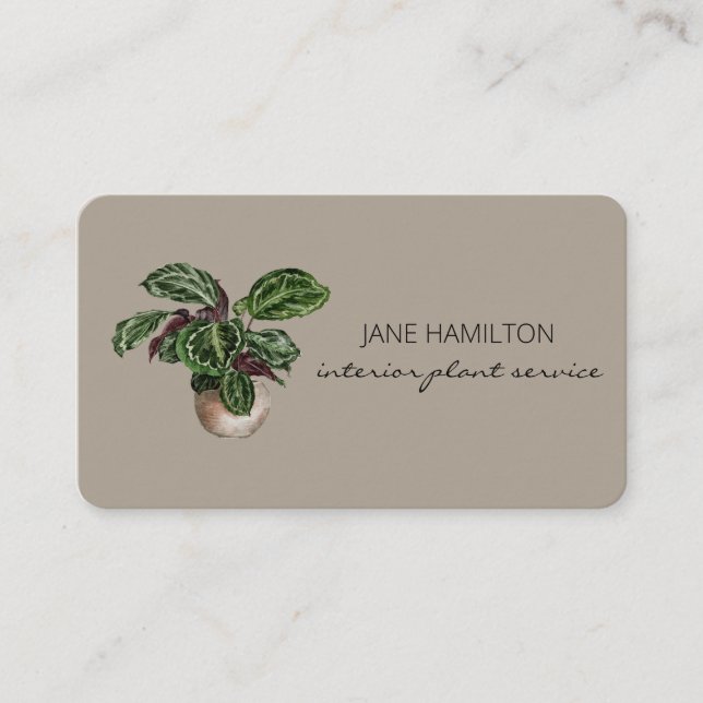 Business Card für Interior Design Pflanzen Service Visitenkarte (Vorderseite)