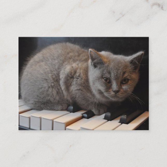 Business Card für Klavier oder Musikunterricht Visitenkarte (Vorderseite)