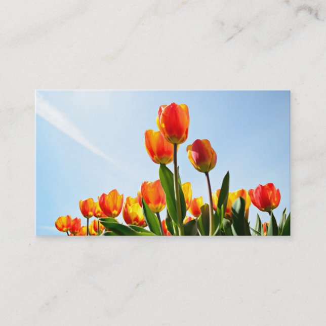 Business card with tulips visitenkarte (Vorderseite)