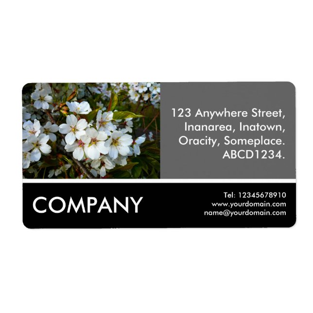 Business Foto - Cherry Blossom (Vorne)