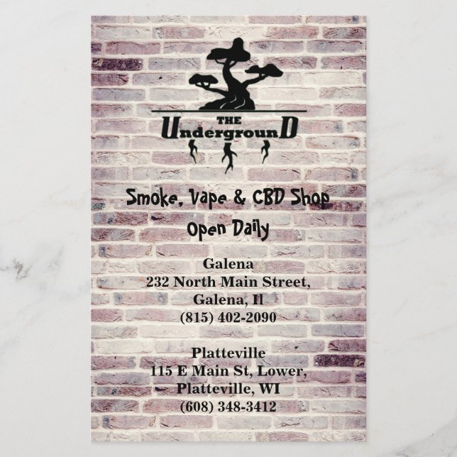 Business Logo und Address info Double Sided Flyer (Vorne)