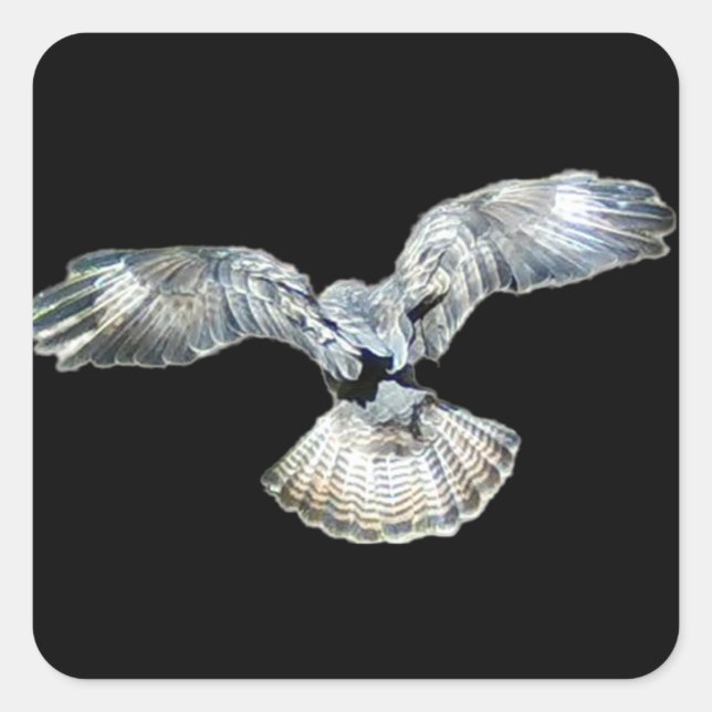 Bussard-Flügel und Schwanz-Landung Quadratischer Aufkleber (Vorderseite)