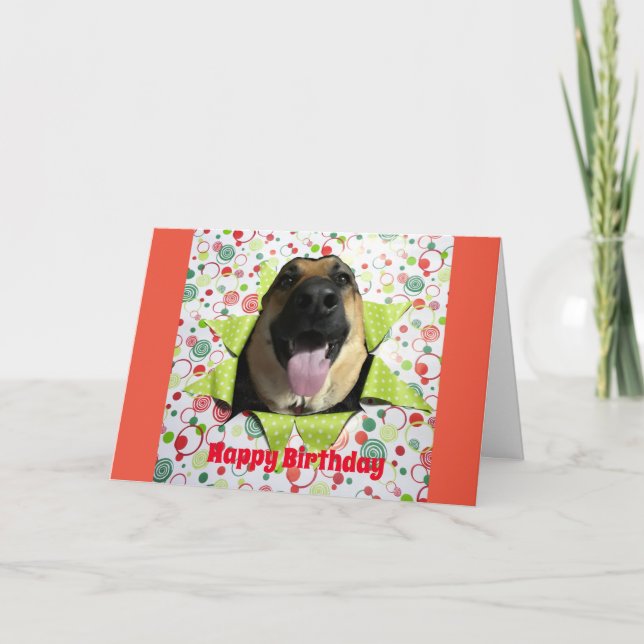 Bust Out German Shepherd Carte de voeux d'annivers (Devant)