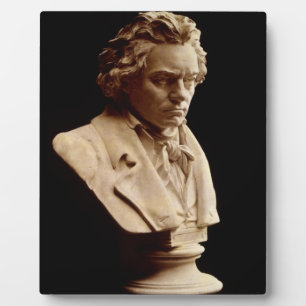 Bust-Statue Beethoven Fotoplatte